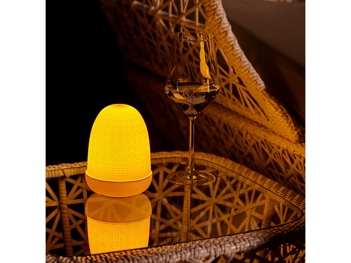 DOME LAMP