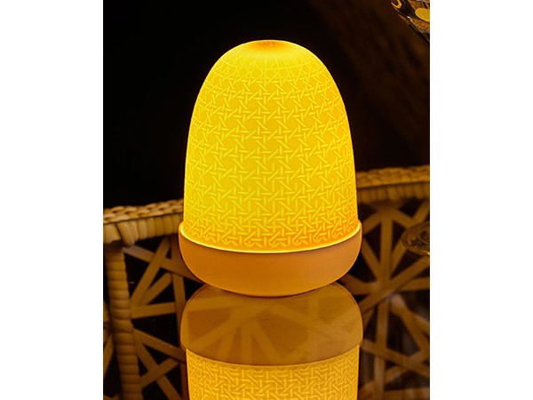 DOME LAMP_3