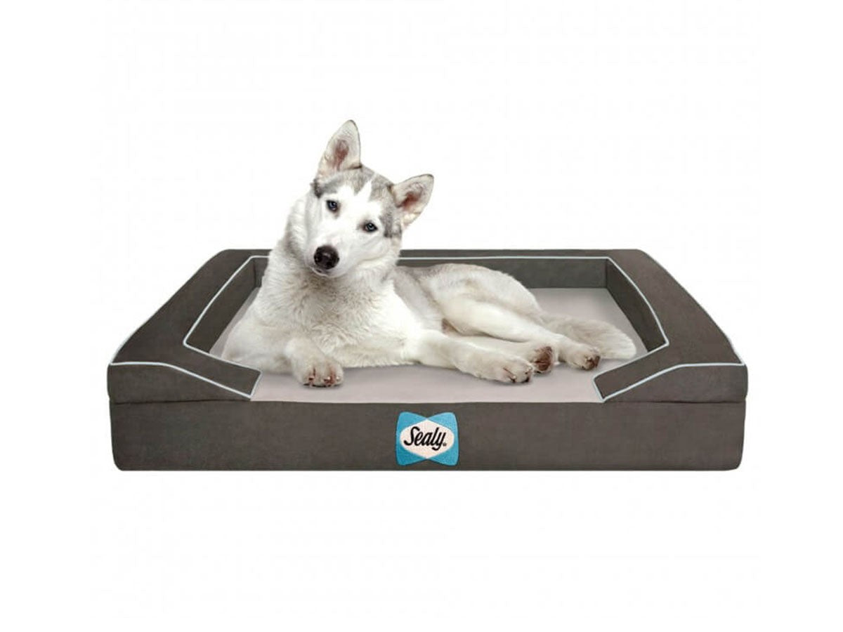 SEALY DOG BED LUX PREMIUM_1