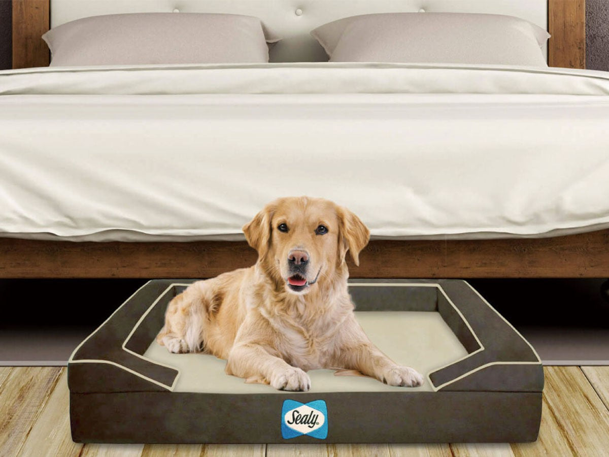 SEALY DOG BED LUX PREMIUM_3