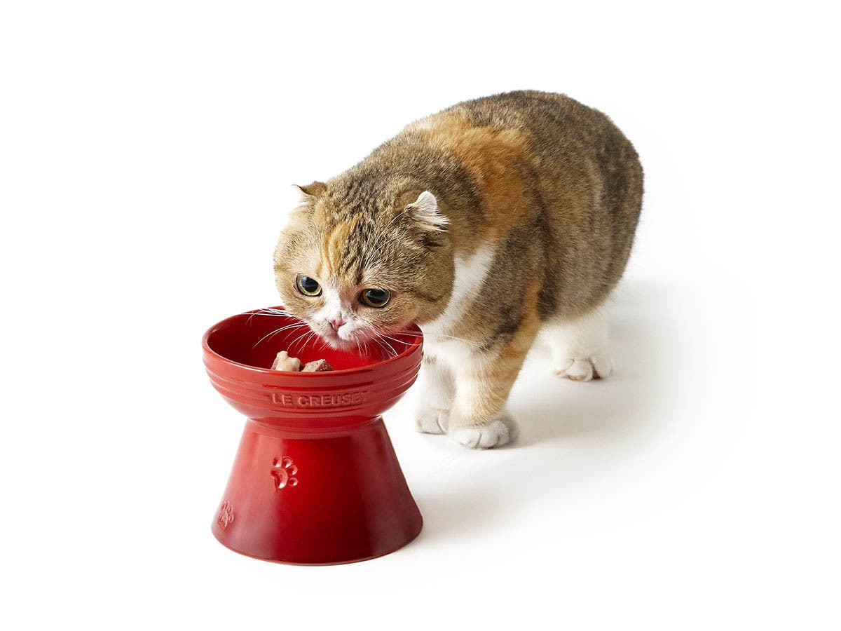 HIGH STAND PET BOWL