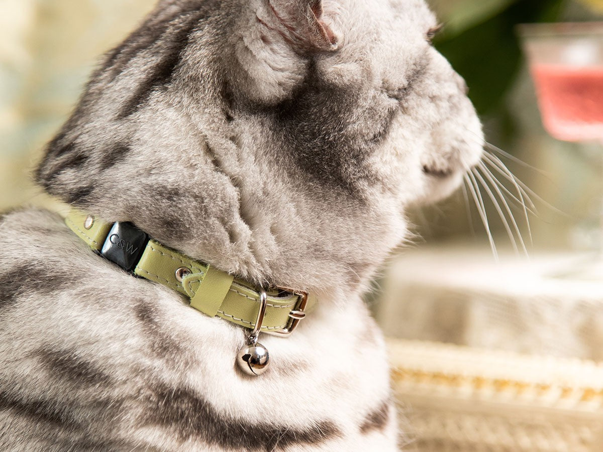 CAT COLLAR ROCOCO_3