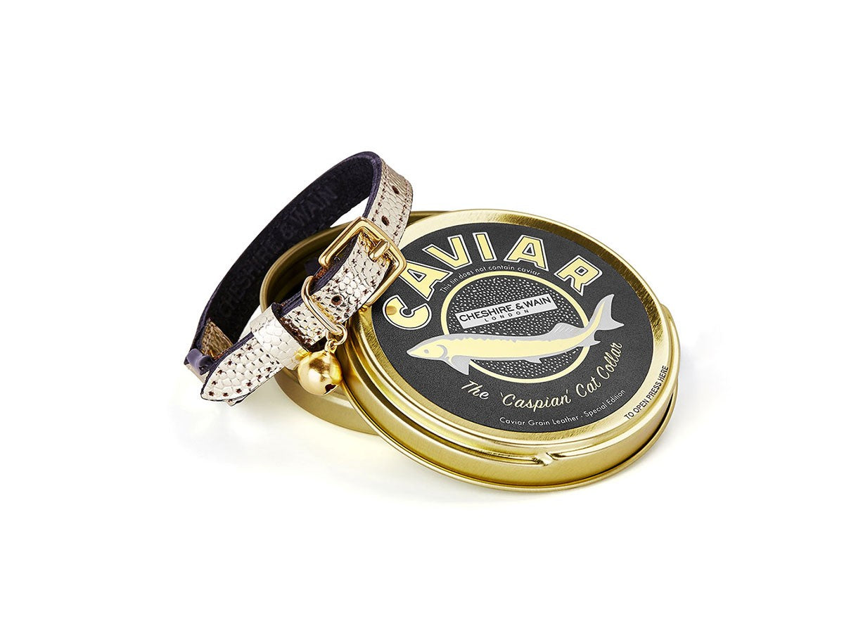 CAT COLLAR CAVIAR