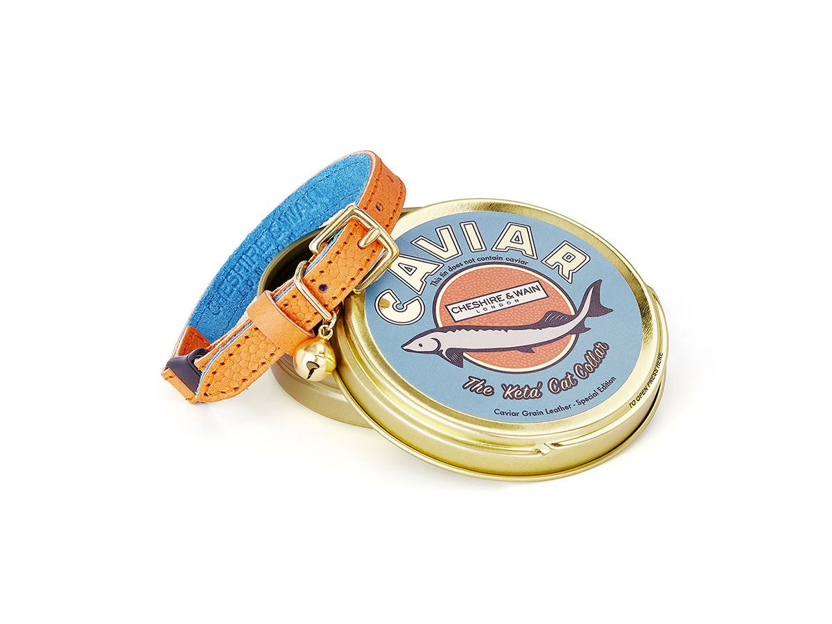 CAT COLLAR CAVIAR