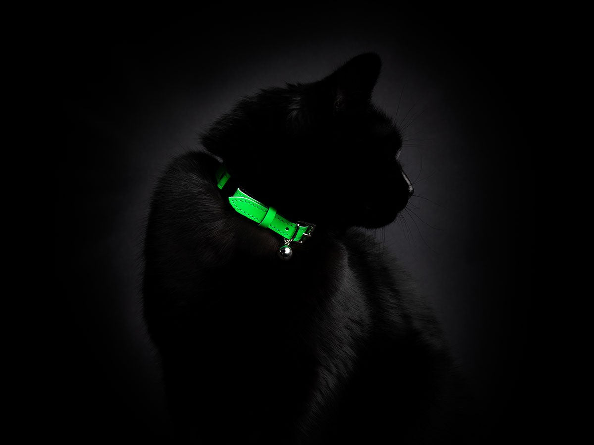 CAT COLLAR LUMINO LUX