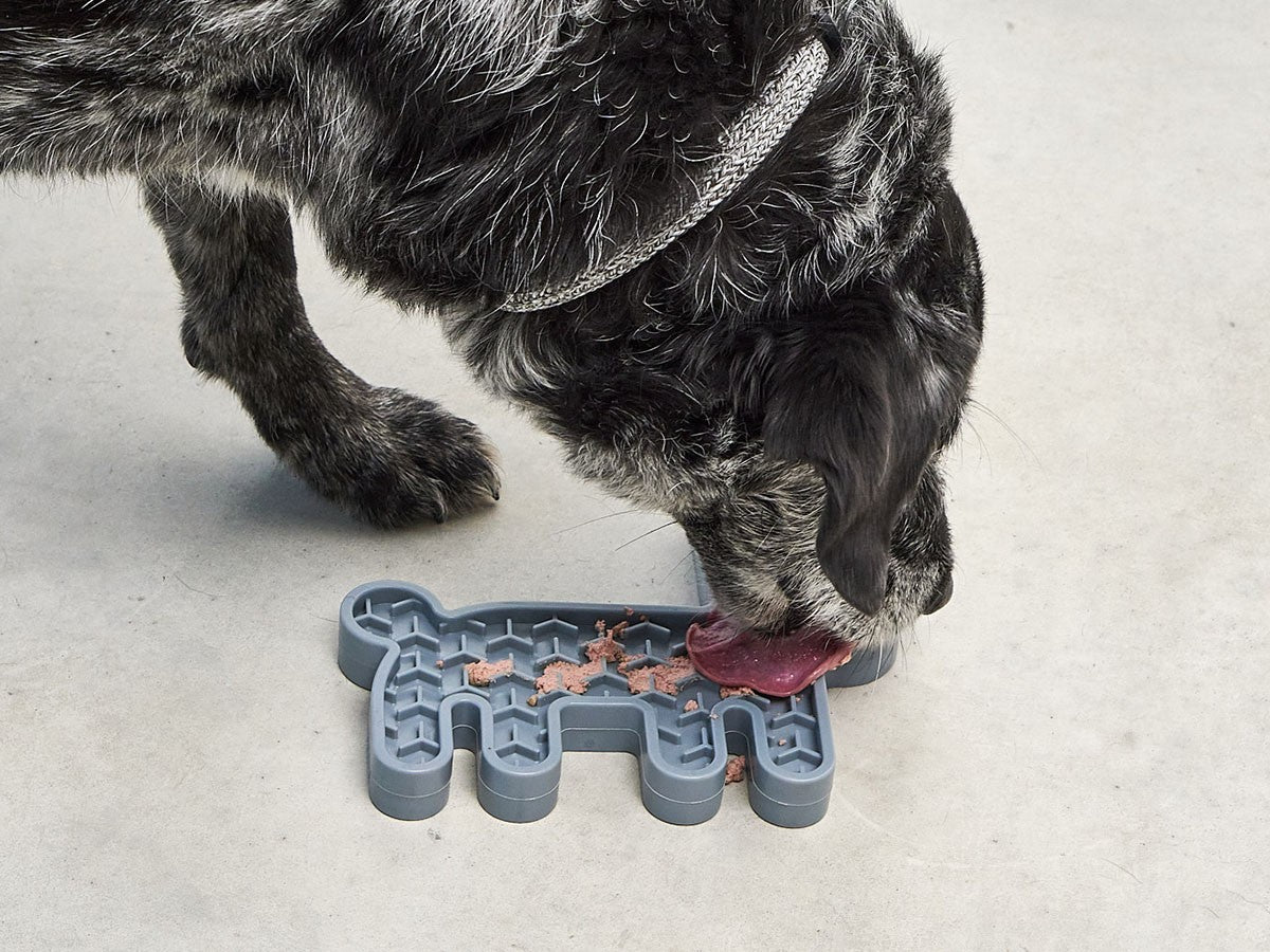 LEPRE ACTIVITY DOG TOY