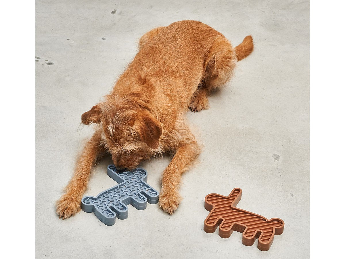 LEPRE ACTIVITY DOG TOY