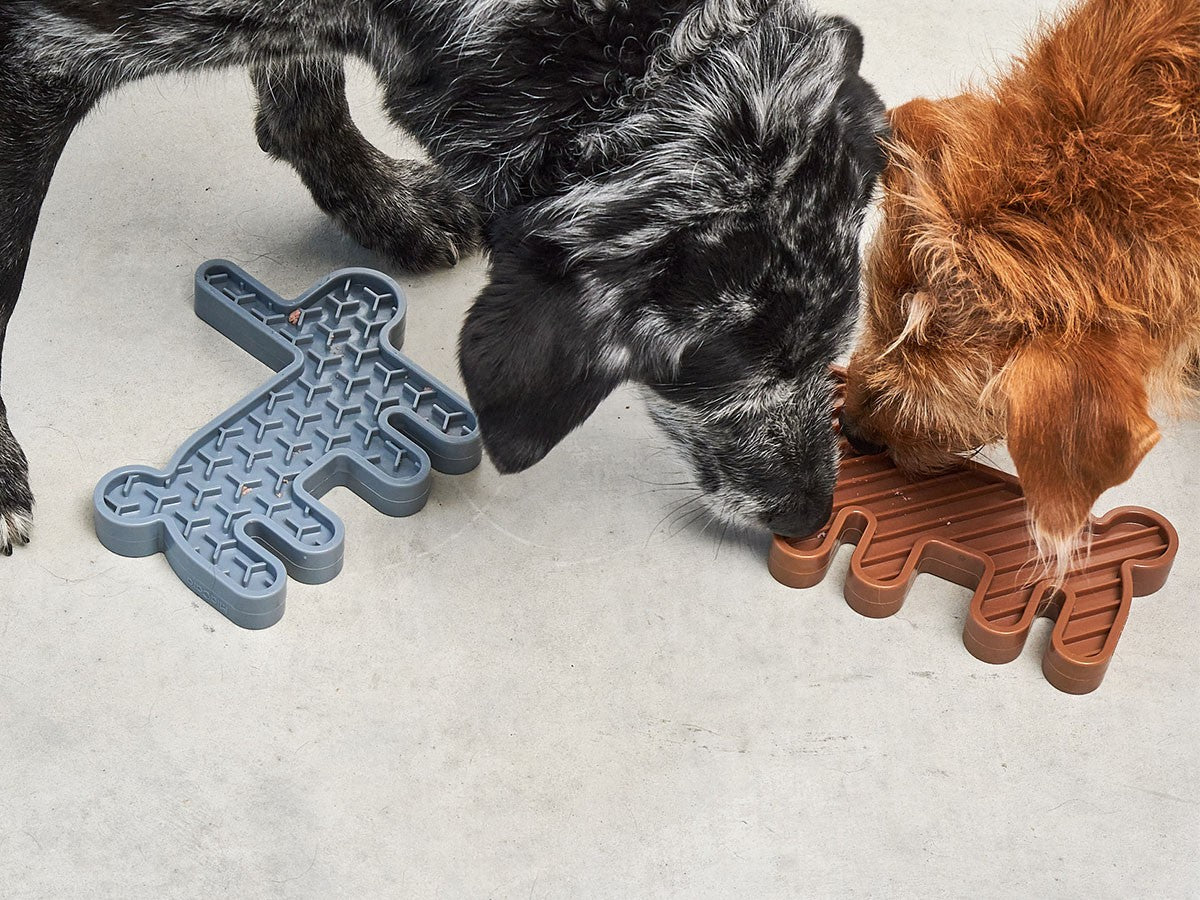 LEPRE ACTIVITY DOG TOY