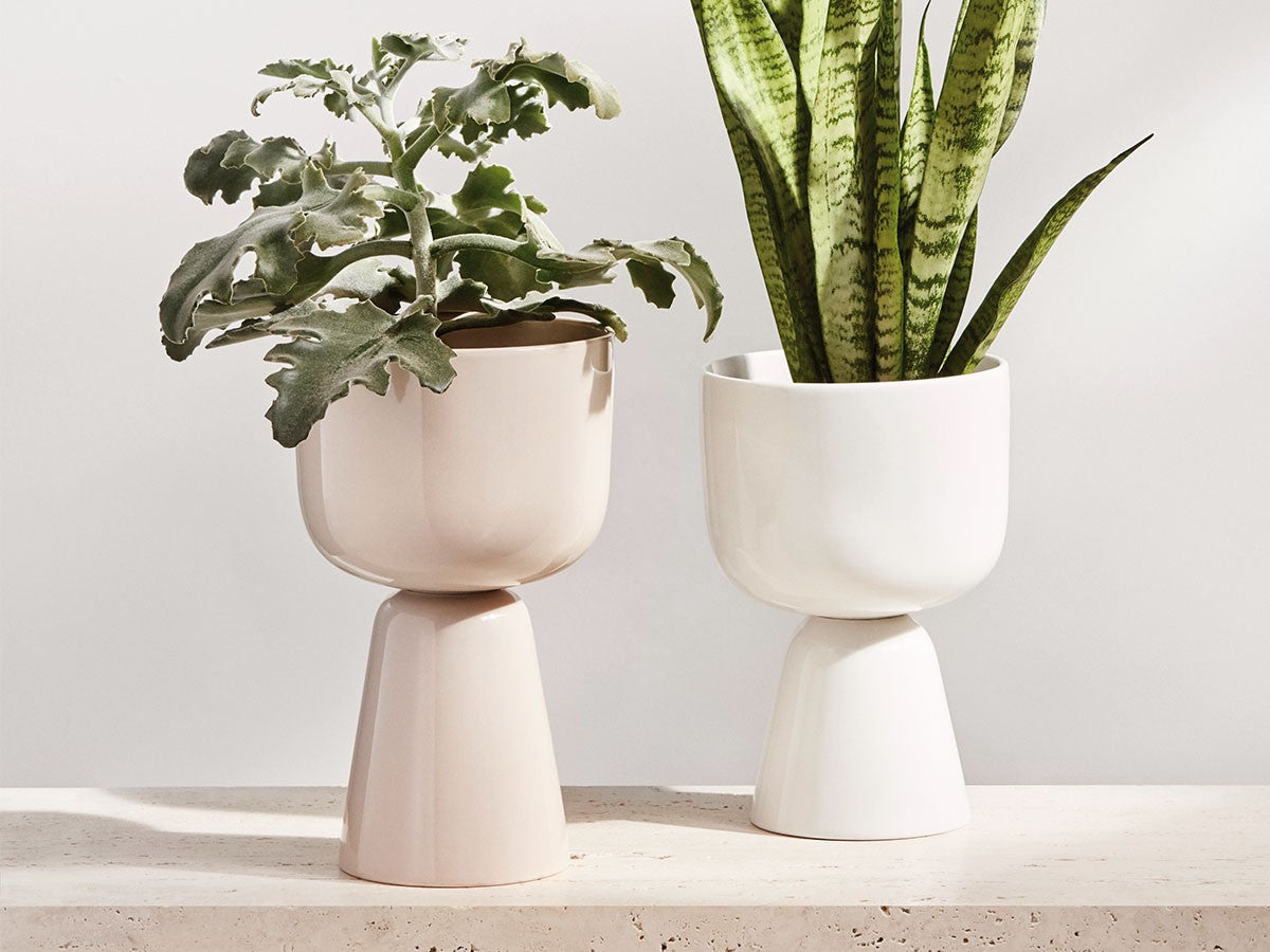 NAPPULA PLANT POT_3