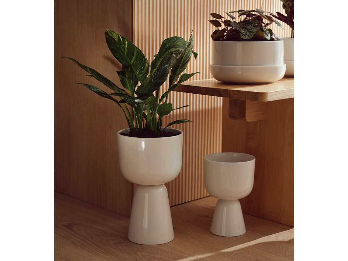 NAPPULA PLANT POT_6