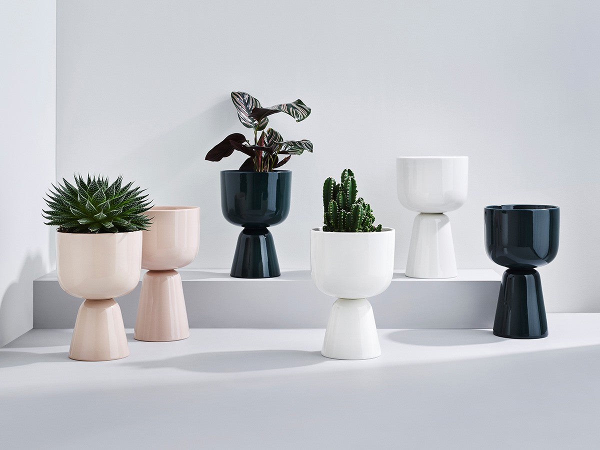 NAPPULA PLANT POT_3