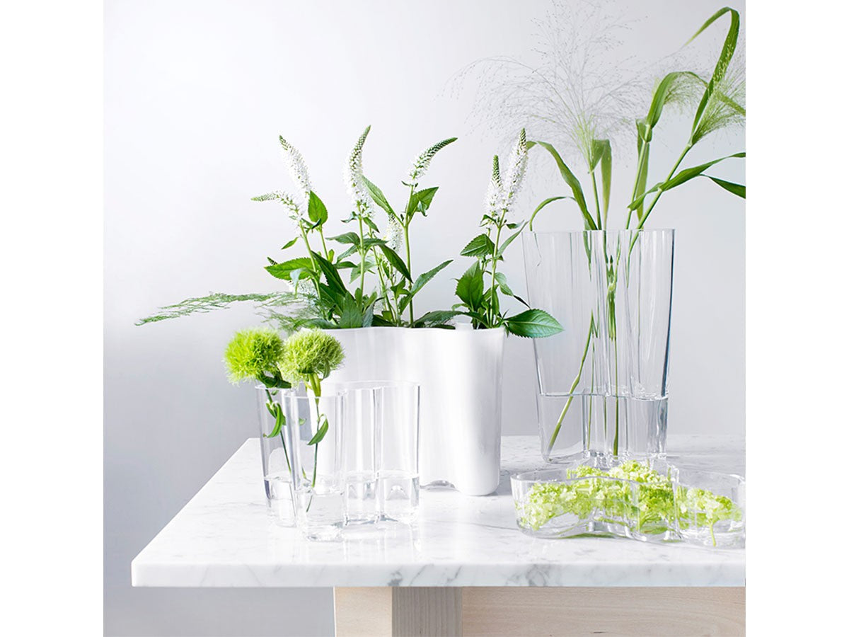 ALVAR AALTO COLLECTION VASE_10