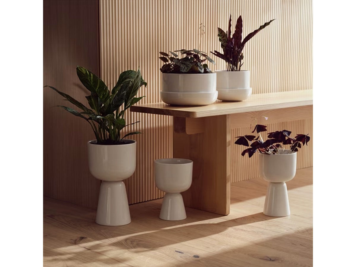 NAPPULA PLANT POT_4