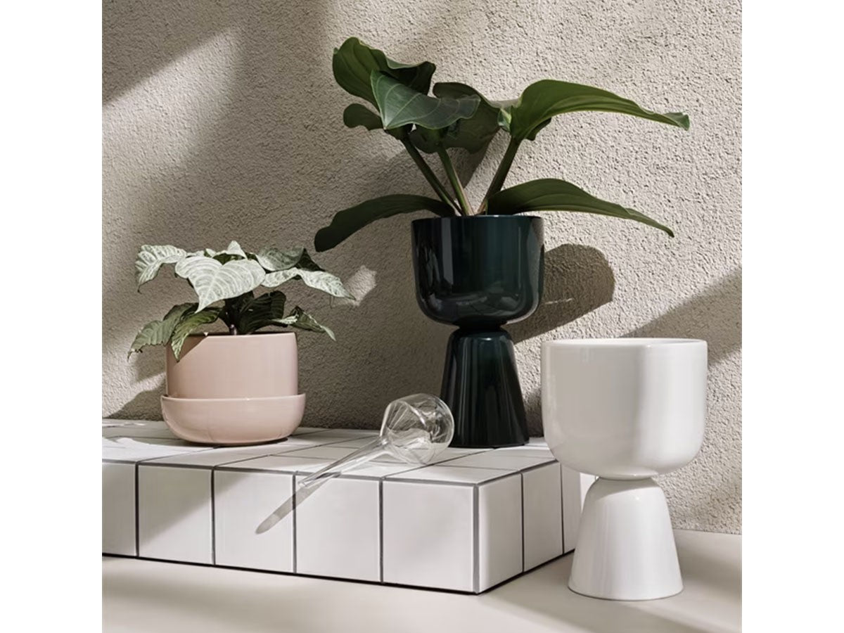 NAPPULA PLANT POT