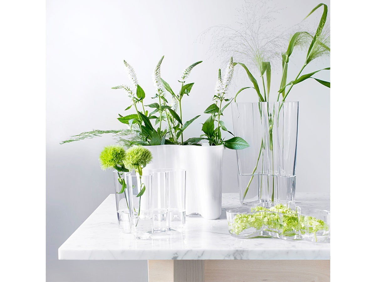 ALVAR AALTO COLLECTION VASE_9