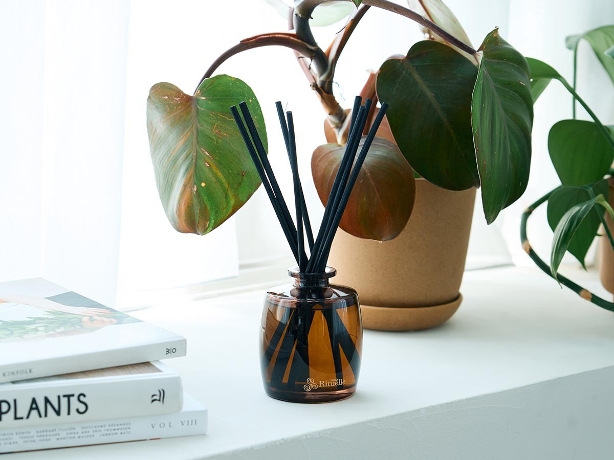 APOTHECA FRAGRANCE DIFFUSER FIG LEAF