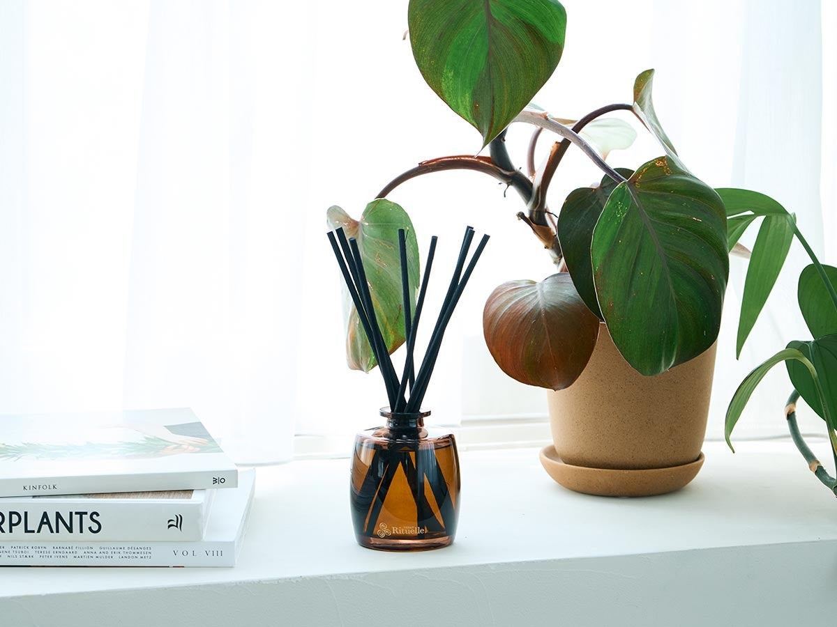 APOTHECA FRAGRANCE DIFFUSER FIG LEAF_11