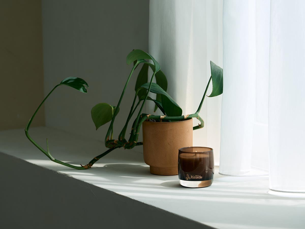 APOTHECA SOY WAX CANDLE FIG LEAF_5