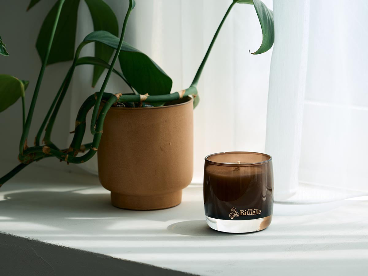 APOTHECA SOY WAX CANDLE FIG LEAF_6