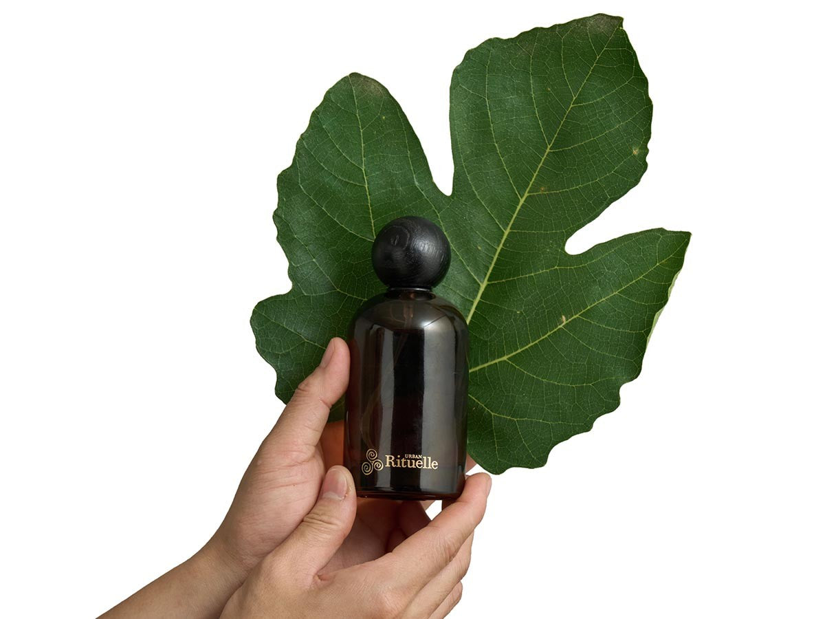 APOTHECA ROOM & LINEN MIST FIG LEAF_1